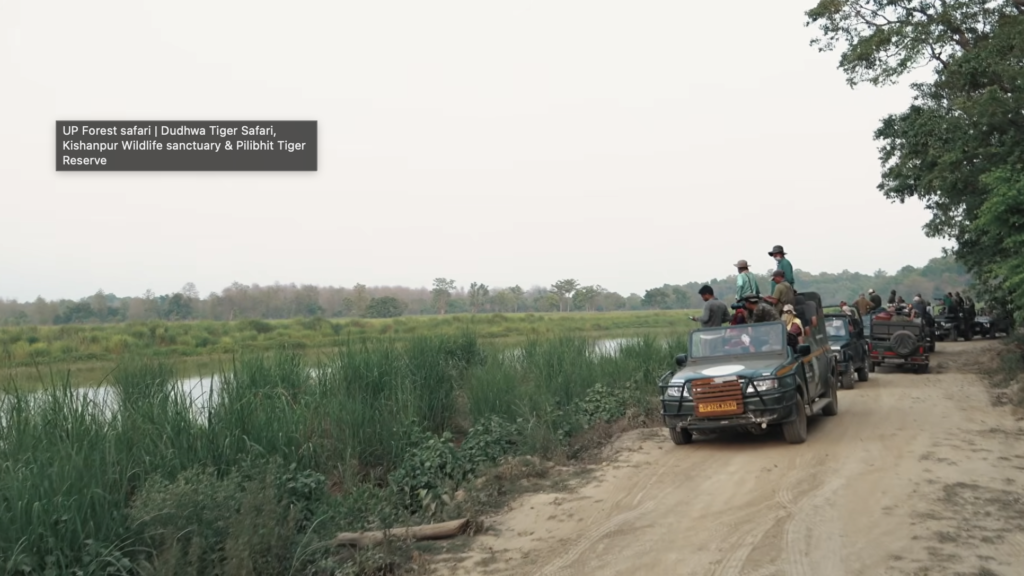 UP Forest safari, Dudhwa Tiger Safari, Kishanpur Wildlife sanctuary & Pilibhit Tiger Reserve